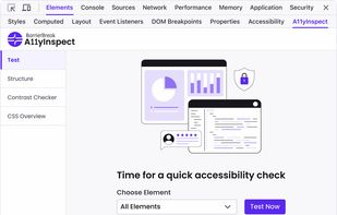 Test your website for all elements with A11yInspect