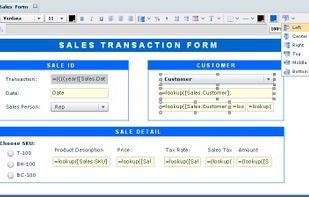 Use drag-and-drop and visual tools while previewing your data to easily create reports that users can view, edit, print or copy.