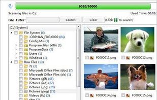 Renee Undeleter screenshot 1