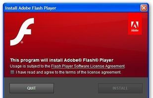 Adobe Flash Player screenshot 1