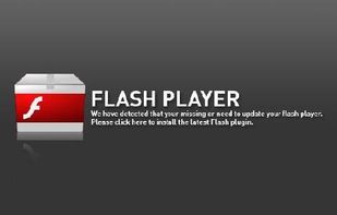 Adobe Flash Player screenshot 2