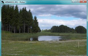 Pictus screenshot 1