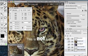 ChocoFlop screenshot 1