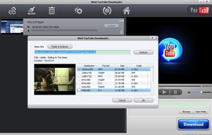 WinX YouTube Downloader screenshot 1