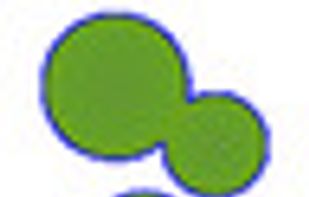 OpenCFU screenshot 3