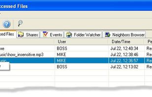 On this tab you can see which files/folders are accessed from network and network logged-on users permissions.