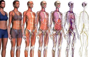 Zygote Body screenshot 1