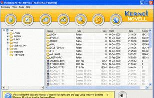 Kernel for Novell Data Recovery screenshot 2