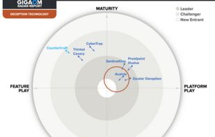 Approach of ShadowPlex in cyber deception