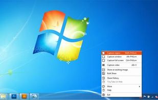TinyTake screenshot 1