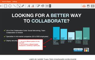 TinyTake screenshot 2