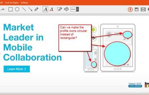 TinyTake screenshot 3