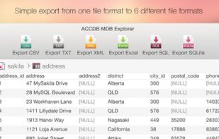 ACCDB MDB Explorer screenshot 3