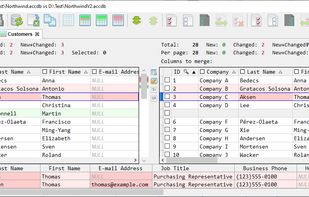 AccdbMerge screenshot 2