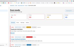Overview of the AccessGuard scanner with couple of issues.