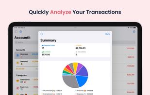 Accountit screenshot 2