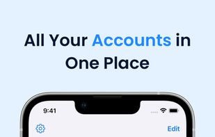 Accountit screenshot 1