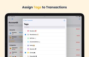 Accountit screenshot 1