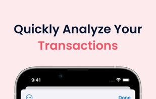 Accountit screenshot 2