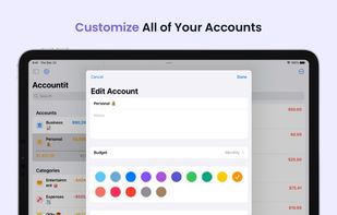 Accountit screenshot 3