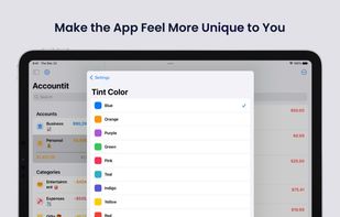 Accountit screenshot 1
