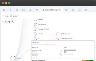 AccuRanker screenshot 3