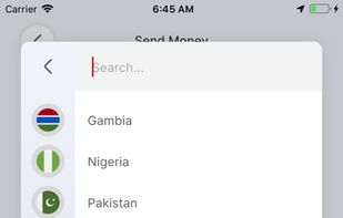ACE Money Transfer screenshot 3