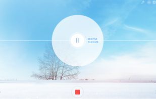 Start recording the sound by clicking the "Rec" button.