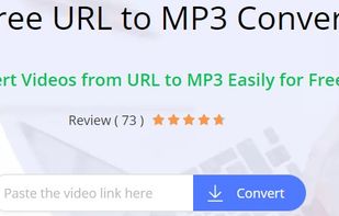 Access the Online Website.