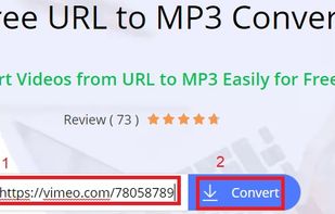Paste the video link to convert.