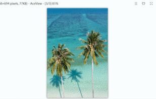 AceView screenshot 1