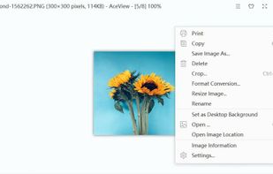 AceView screenshot 3