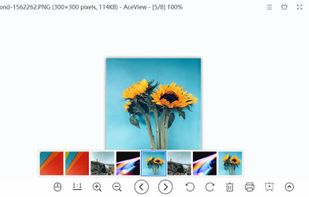 AceView screenshot 2