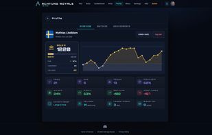 Profile page where you view different type of stats