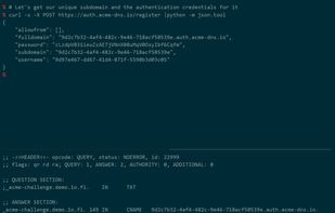 acme-dns screenshot 1