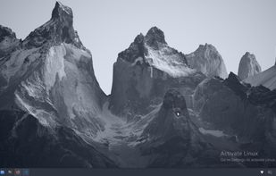 Activate linux screenshot 1