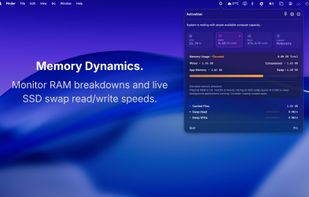 Memory usage information