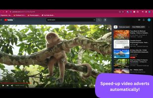 Ad Speedup screenshot 1