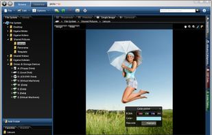 Tools
Web designers will find the color pipette and the measuring tool helpful in determining color values from pixels and measuring a section of an image.