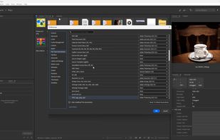 Adobe Bridge screenshot 1