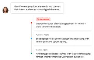 Adobe CX Enterprise Coworker screenshot 2