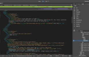 Adobe Dreamweaver screenshot 2