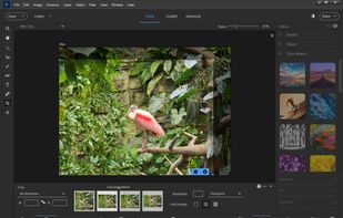Adobe Elements screenshot 2