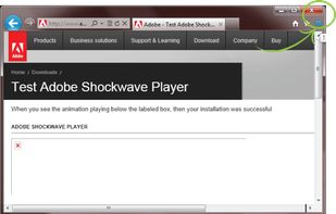 Adobe Shockwave Player screenshot 1