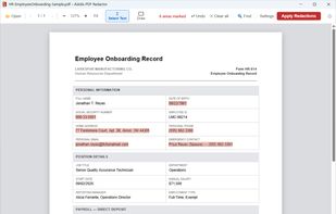 Employee record — before redaction