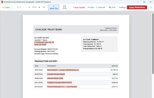 Bank statement — before redaction