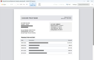 Bank statement — after redaction