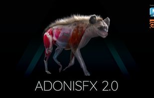 AdonisFX screenshot 1