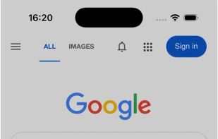 Advanced Image Search screenshot 3