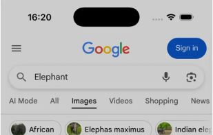 Advanced Image Search screenshot 2